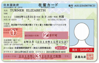 在留カード表面の見本。①在留資格、②就労制限の有無、③在留期間(満了日)の位置に番号が付いている